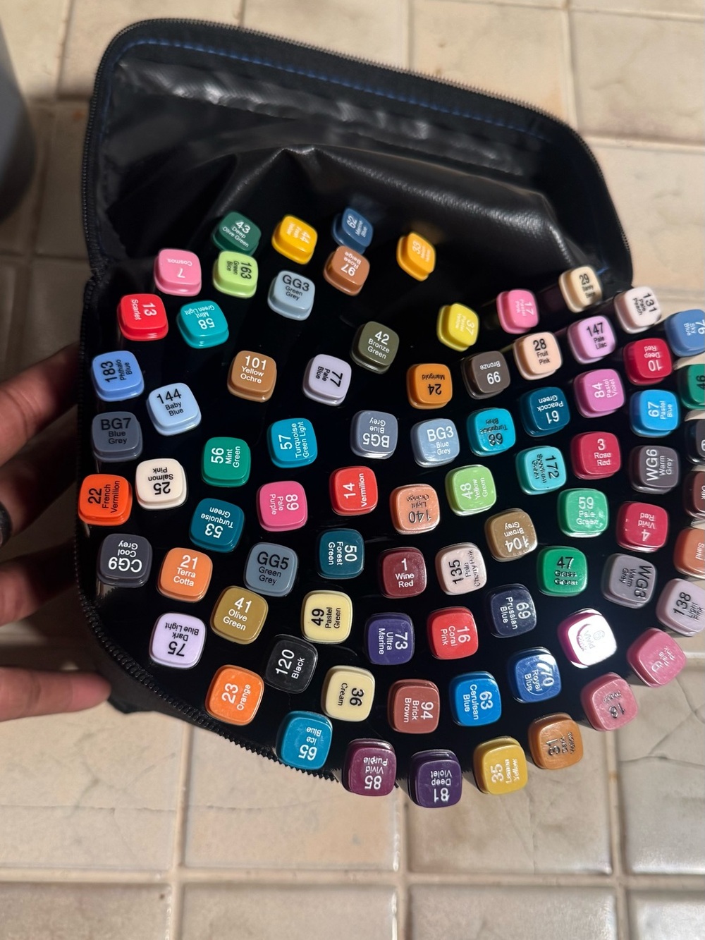 Assorted Alcohol-Based Marker Set - Multicolor